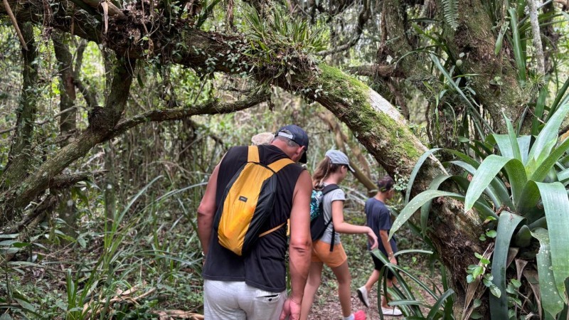 Três pessoas fazendo uma caminhada em uma trilha. Estão usando roupas esportivas e bonés. Ao redor deles, muitas árvores e plantas.